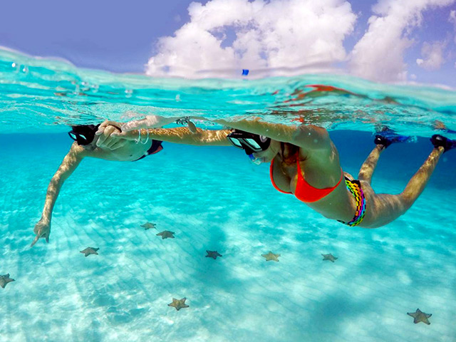 Tours & Activities in Cancun